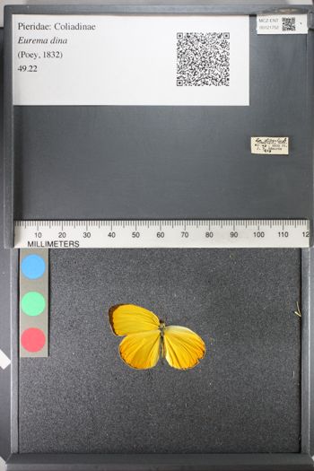 Media type: image;   Entomology 121752